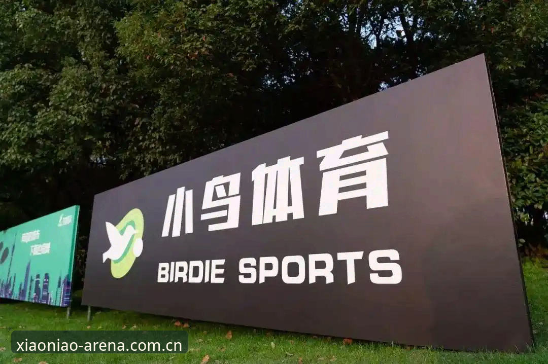 用小鸟体育看赛事，一次下载解决观赛全场景——2025焕新版体验详解